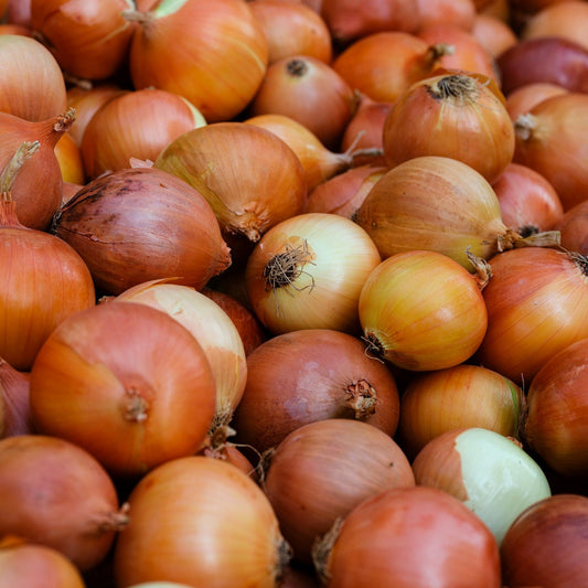 Close-up of a pile of onions with various colors.