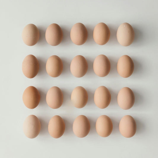 Free Range Eggs Whole Tray