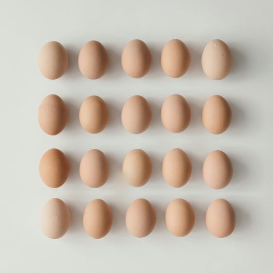 Pattern of brown eggs on a light gray background