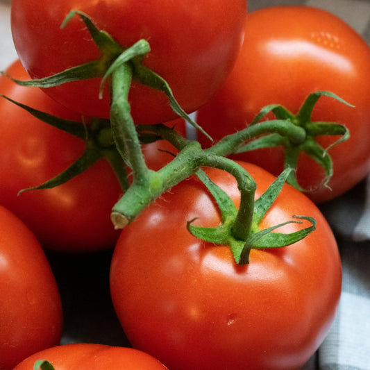 Red tomatoes with green stems on a checkered fabric background