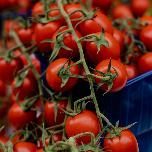 Cherry Vine Tomatoes 300g