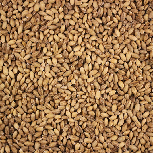 Scottish Pearl Barley refill 500g