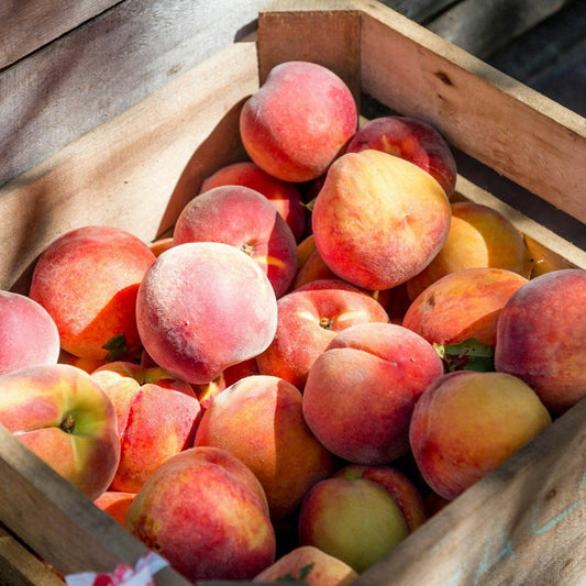 Peach individual