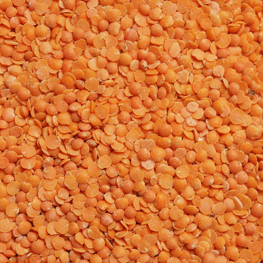 Close-up of orange lentils with a blurred background