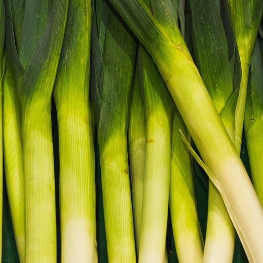 Leeks (min weight 500g)
