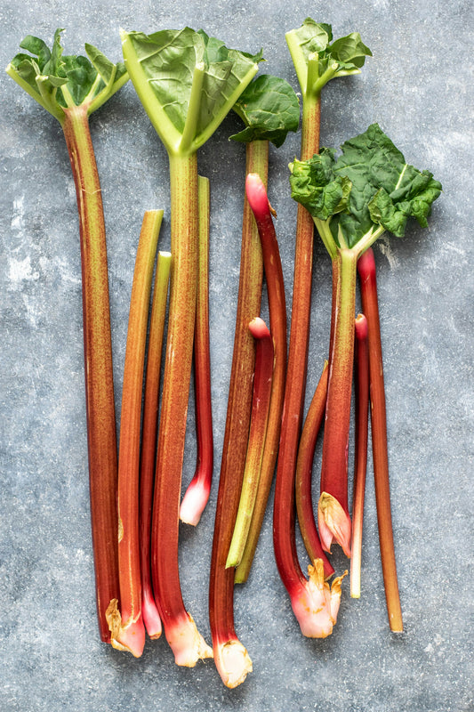 Rhubarb stalks with green leaves on a gray surface