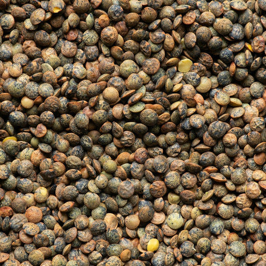 Close-up of a pile of multicolored lentils