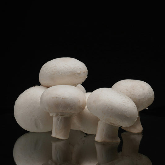 White mushrooms on a reflective black surface with a black background