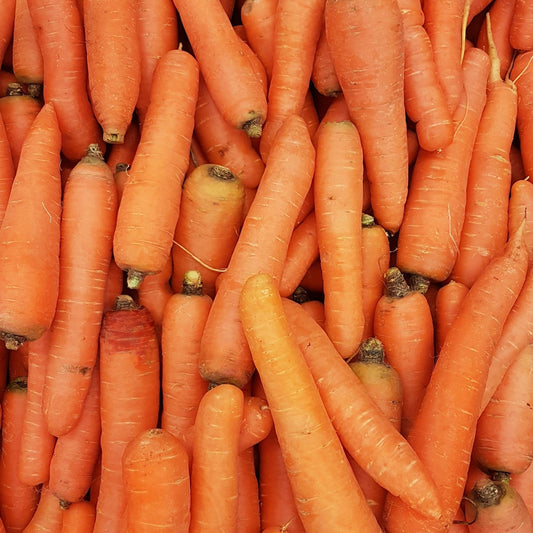 Carrots Loose 500g