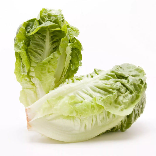 Lettuce- Little Gem