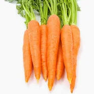 Bunch of carrots on a white background