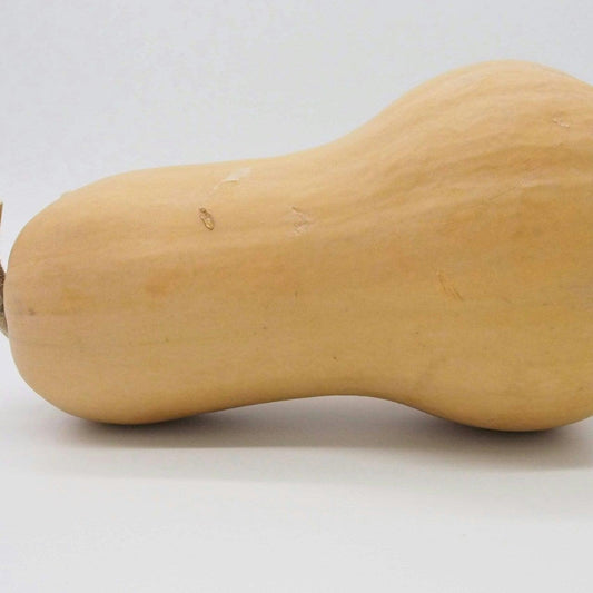 Butternut Squash individual