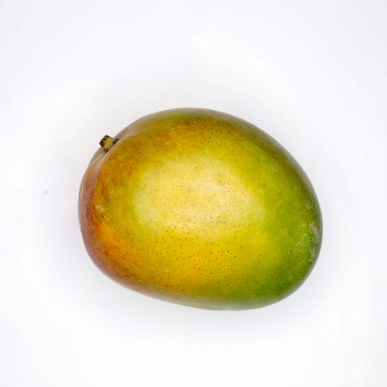 mango on white background