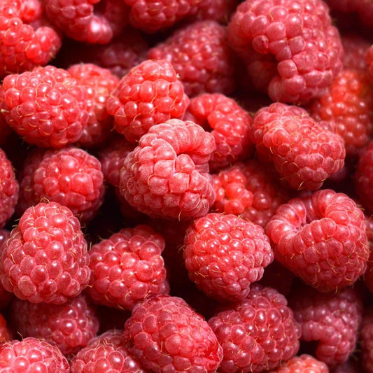 Raspberries Punnet